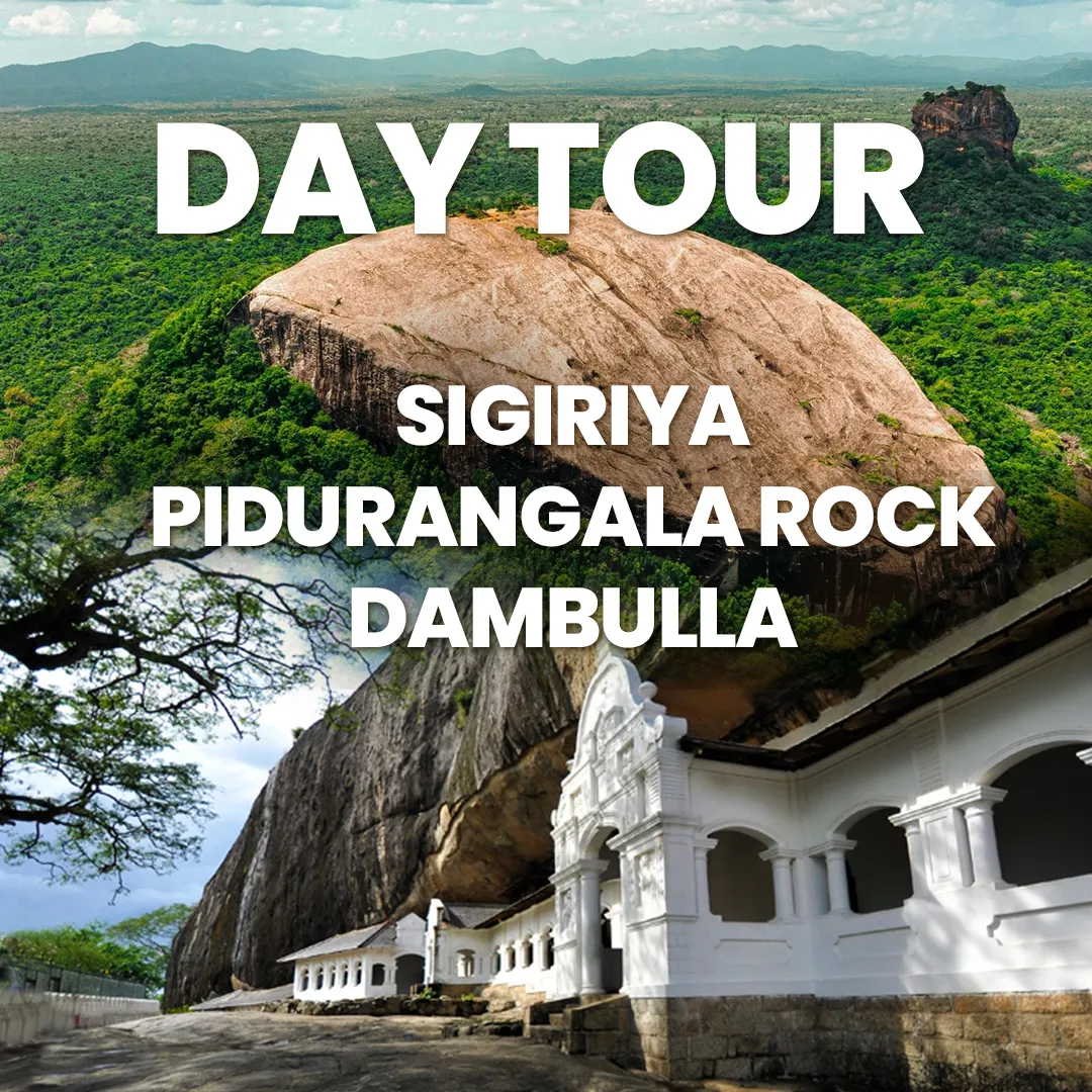 Dambulla , Sigiriya & Pidurangala rock Day Tour event thumbnail