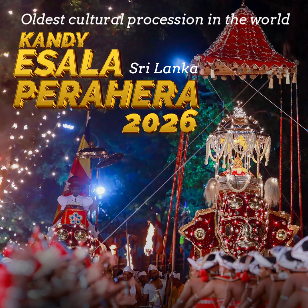 Kandy Esala Perahera 2026 (International)  event thumbnail