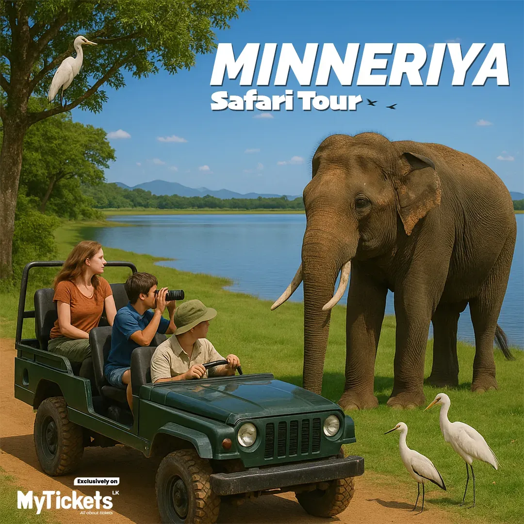 Minneriya Safari Game Driver event thumbnail