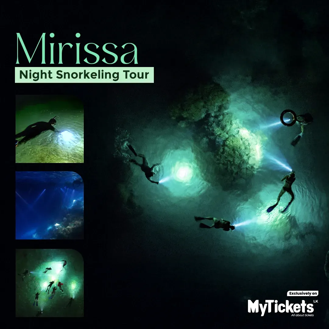 Night Snorkeling Tour event thumbnail