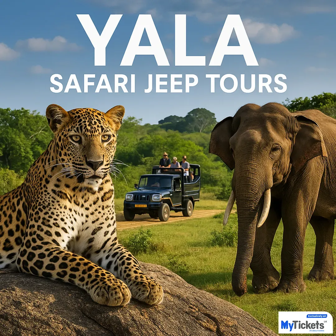 Yala Safari (International) event thumbnail
